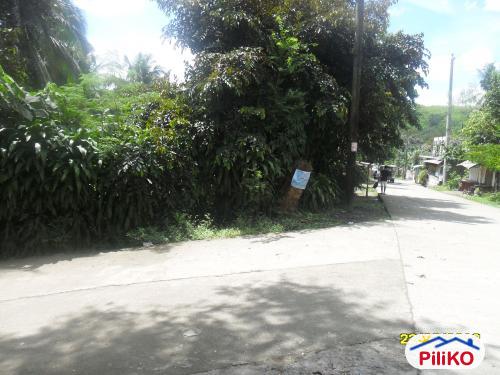 Residential Lot for sale in Quezon City - image 4