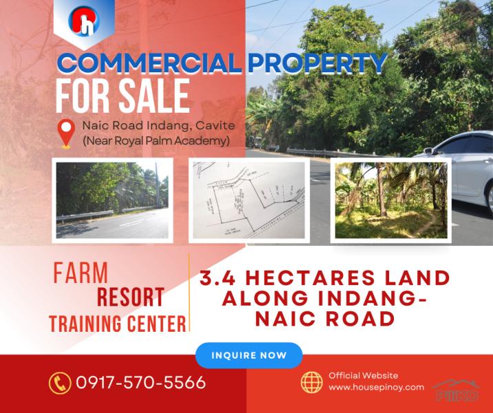 Picture of Agricultural Lot for sale in Indang