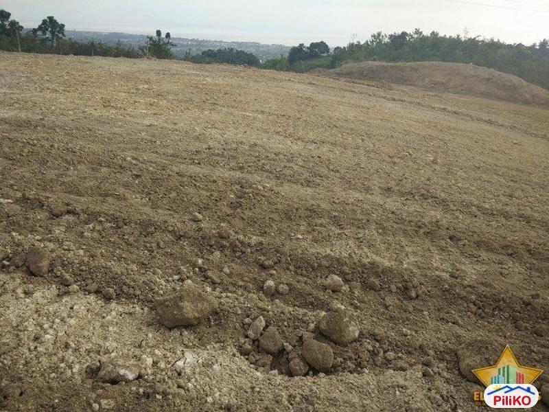 Pictures of Residential Lot for sale in Cebu City
