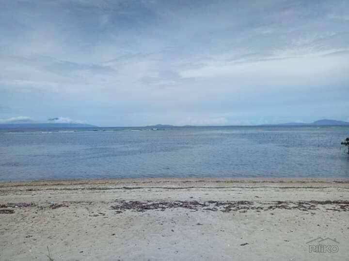 Picture of Other property for sale in Calatagan