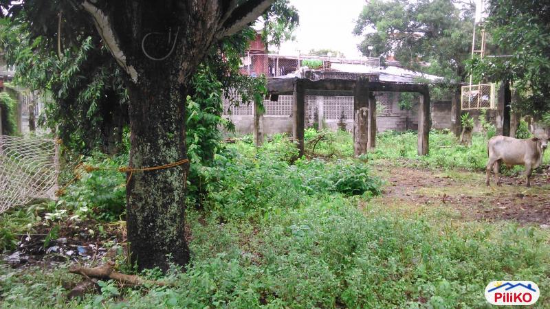 Picture of Residential Lot for sale in Sibulan