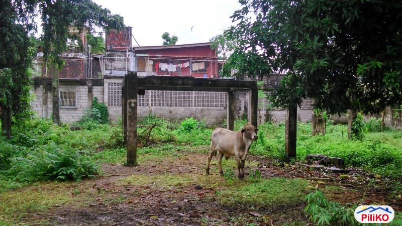 Residential Lot for sale in Sibulan