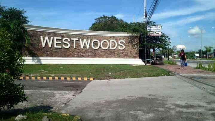 Residential Lot for sale in Iloilo City - image 4