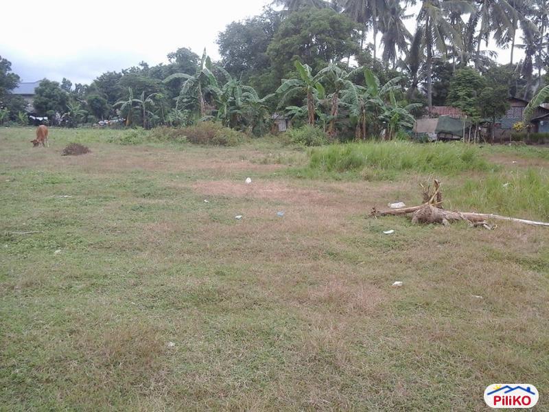Residential Lot for sale in Minglanilla - image 2