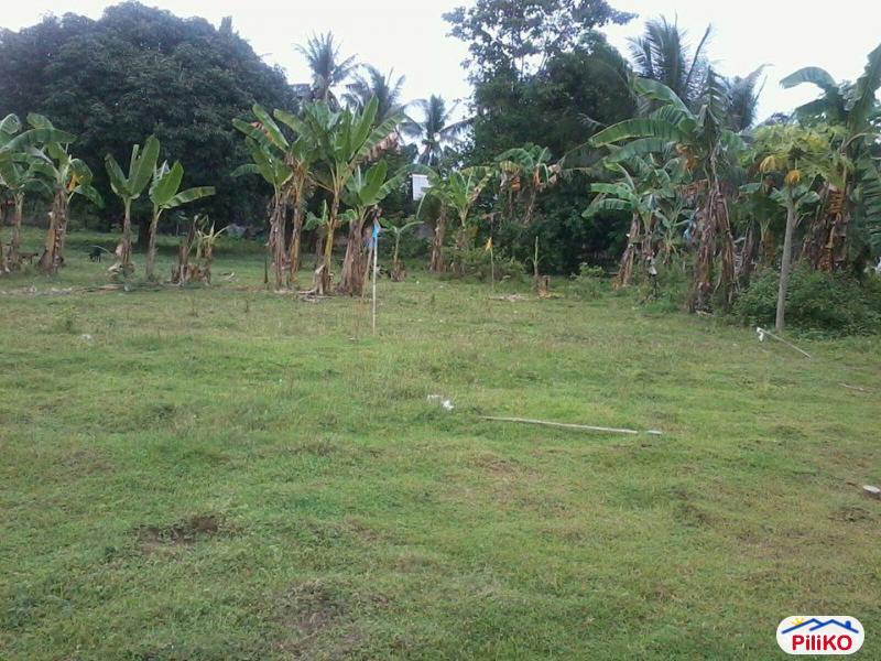 Residential Lot for sale in Minglanilla - image 3