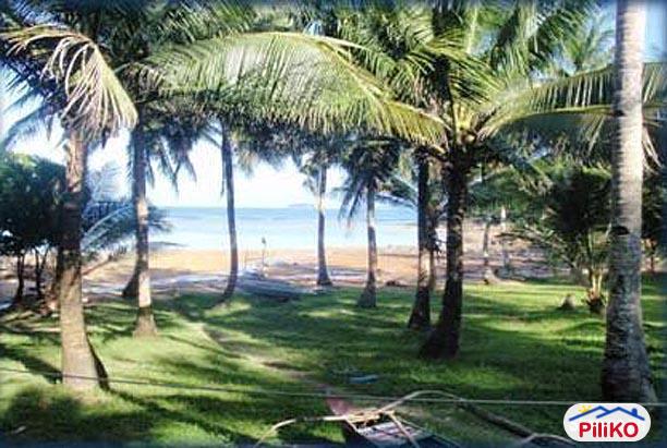 Commercial Lot for sale in Quezon City - image 10