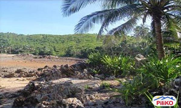 Commercial Lot for sale in Quezon City - image 11