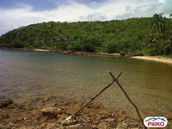 Commercial Lot for sale in Quezon City - image 2