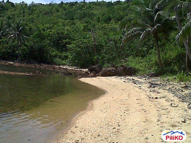 Commercial Lot for sale in Quezon City - image 4