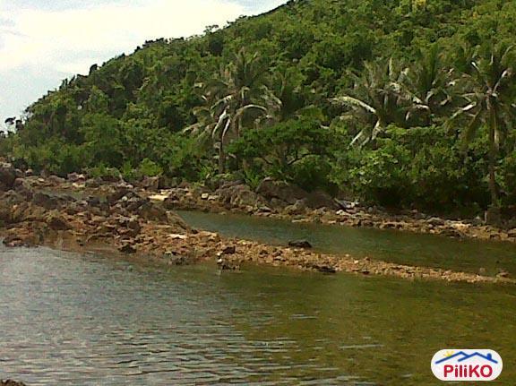 Commercial Lot for sale in Quezon City - image 8