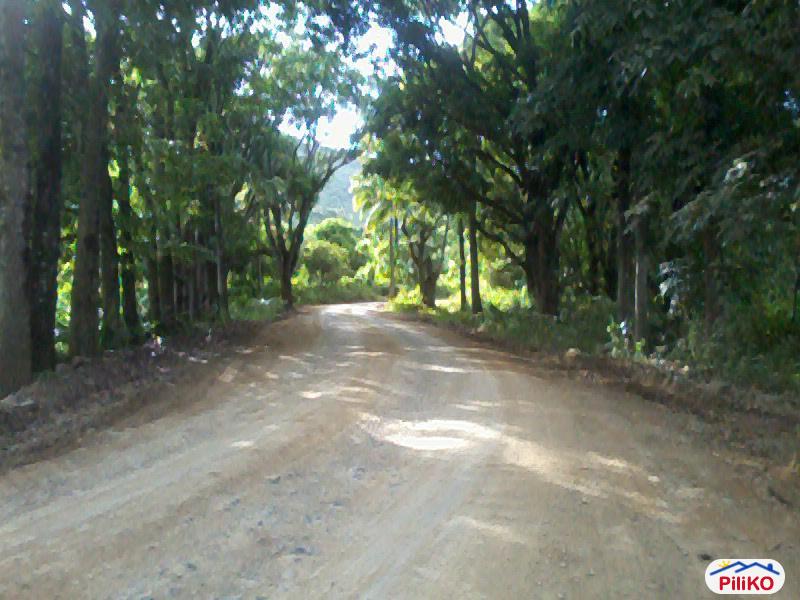 Residential Lot for sale in Marikina - image 2