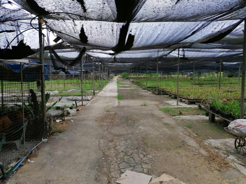 Land and Farm for sale in Baliuag