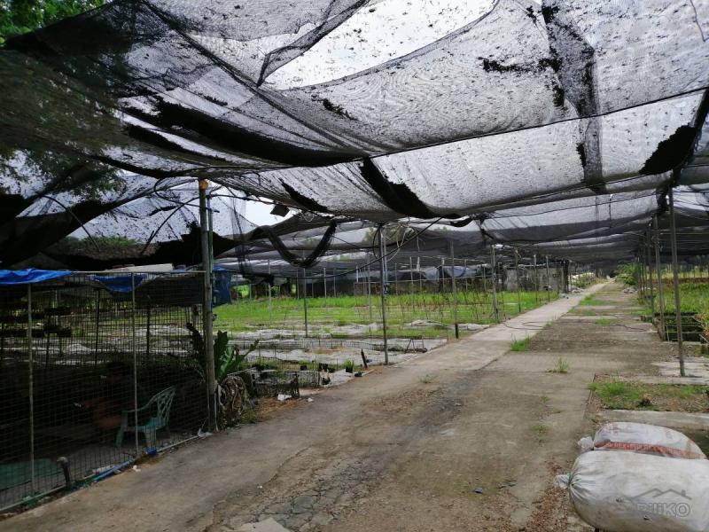 Land and Farm for sale in Baliuag in Bulacan