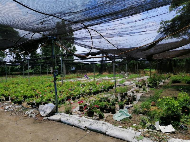 Land and Farm for sale in Baliuag in Philippines