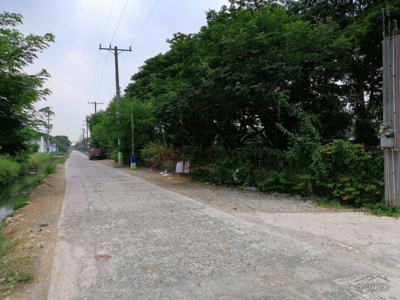 Land and Farm for sale in Baliuag in Philippines - image