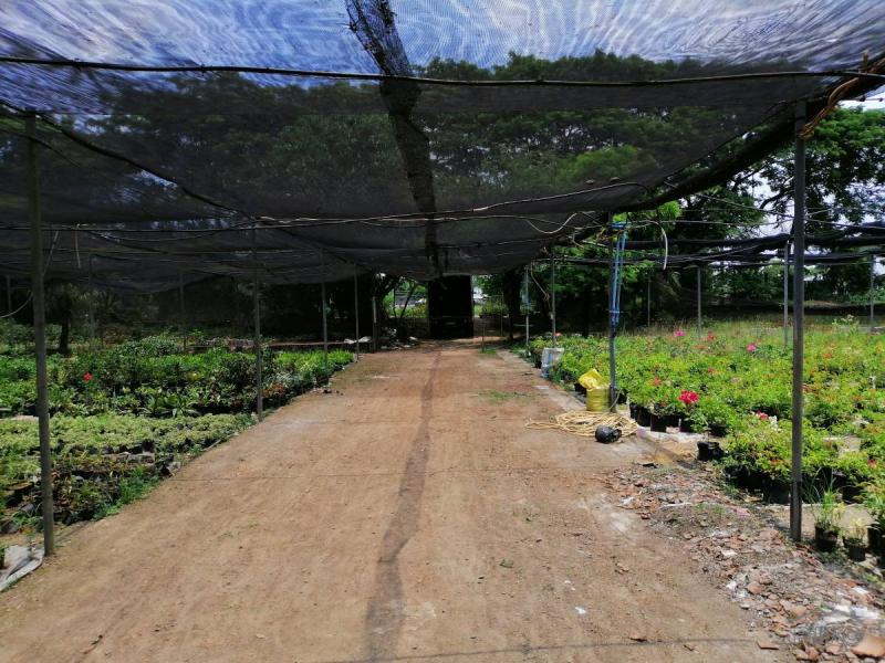 Agricultural Lot for sale in Baliuag - image 8
