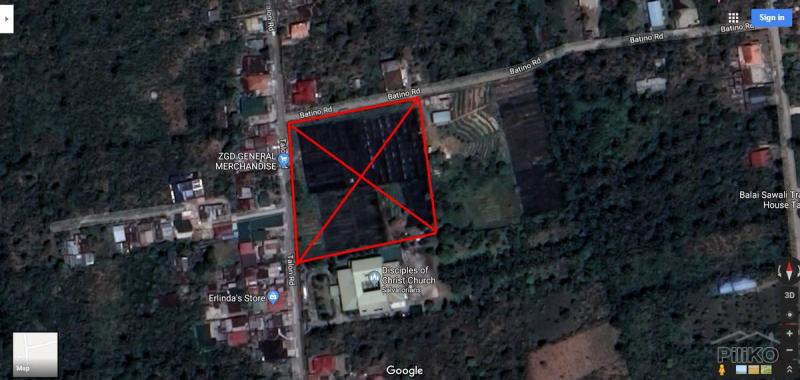 Land and Farm for sale in Amadeo