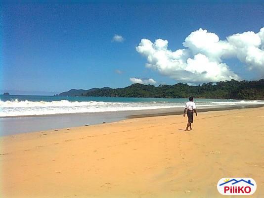 Picture of Agricultural Lot for sale in Puerto Princesa