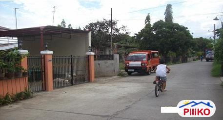 Picture of Residential Lot for sale in Lipa