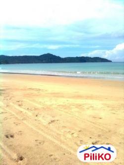 Agricultural Lot for sale in Puerto Princesa