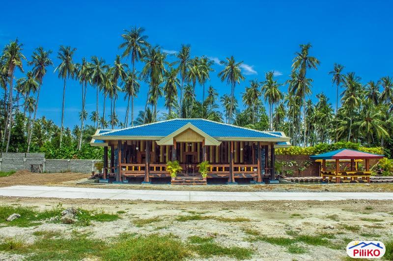 Residential Lot for sale in Island Garden City of Samal - image 2