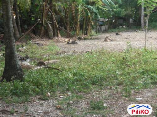 Residential Lot for sale in Oslob - image 2