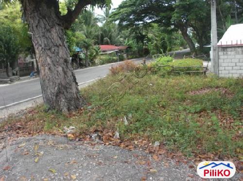 Residential Lot for sale in Oslob - image 3