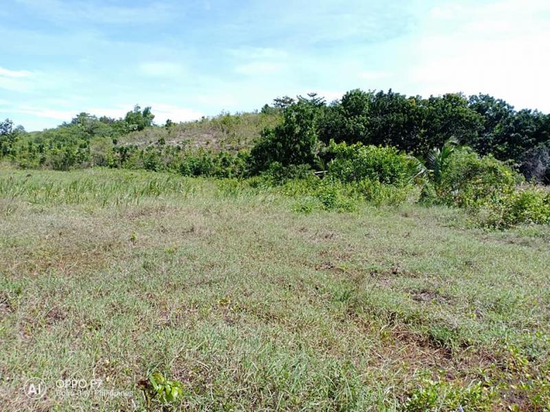 Residential Lot for sale in Bogo in Cebu - image