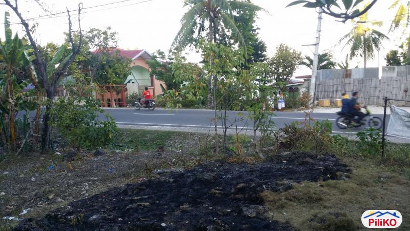 Picture of Residential Lot for sale in Liloan