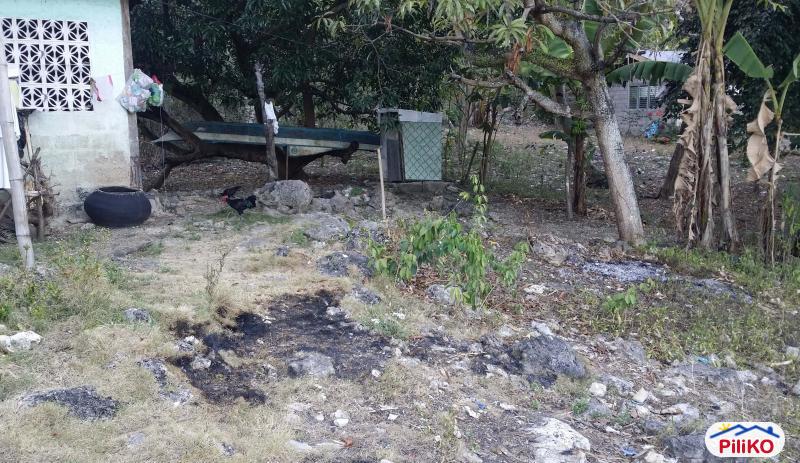 Residential Lot for sale in Liloan in Cebu