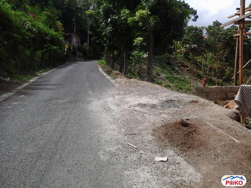 Residential Lot for sale in Minglanilla - image 2