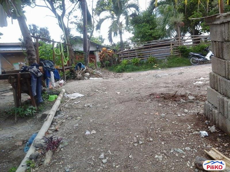 Residential Lot for sale in Minglanilla - image 4