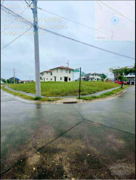 Residential Lot for sale in Calamba - image 3