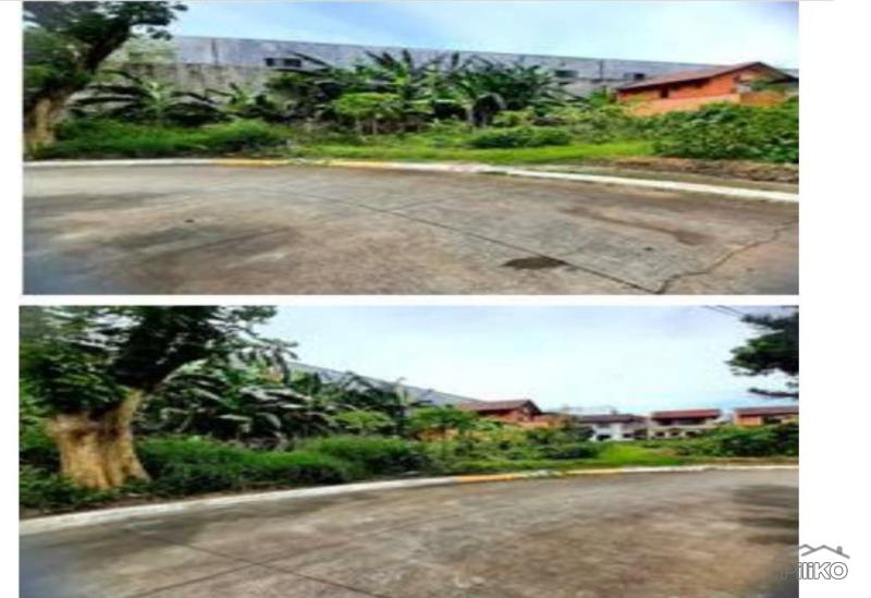 Residential Lot for sale in Cabuyao - image 3