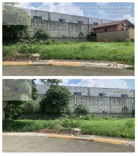 Residential Lot for sale in Cabuyao - image 4