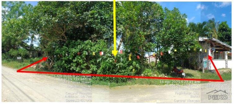 Picture of Residential Lot for sale in Tagbilaran City