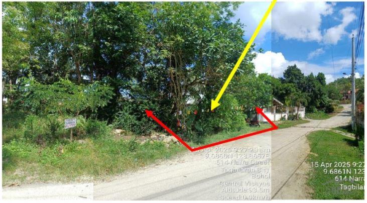 Residential Lot for sale in Tagbilaran City in Bohol