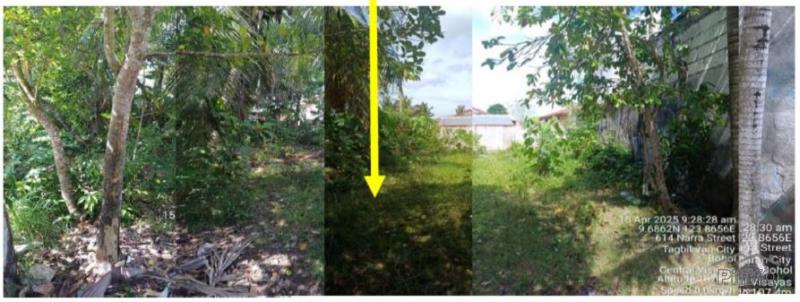 Residential Lot for sale in Tagbilaran City in Philippines