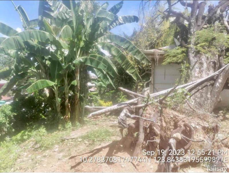 Residential Lot for sale in Talisay - image 7