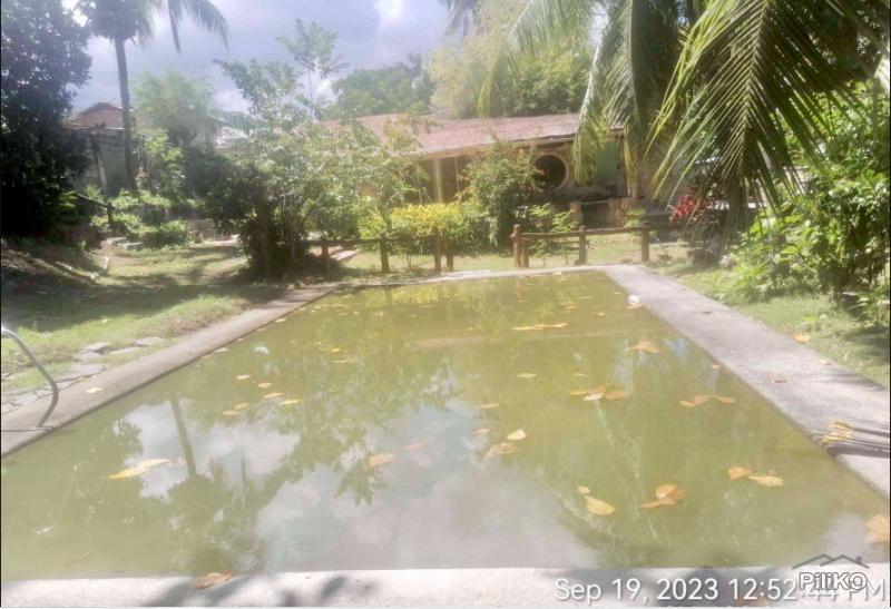 Residential Lot for sale in Talisay - image 8