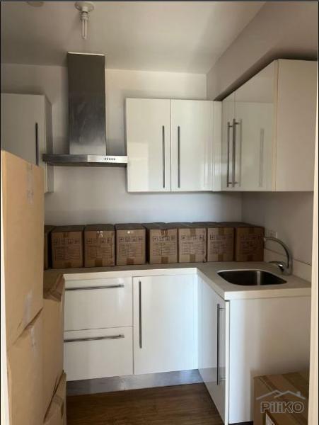 1 bedroom Condominium for sale in Mandaluyong in Metro Manila - image