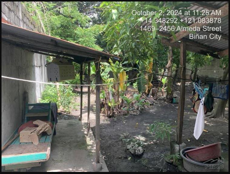 4 bedroom House and Lot for sale in Binan - image 5