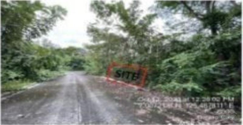 Residential Lot for sale in Davao City