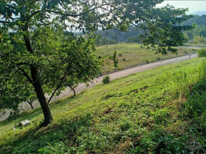 Residential Lot for sale in Taytay in Rizal - image