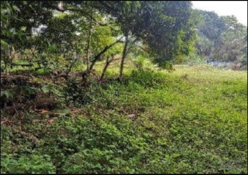 Residential Lot for sale in Quezon City
