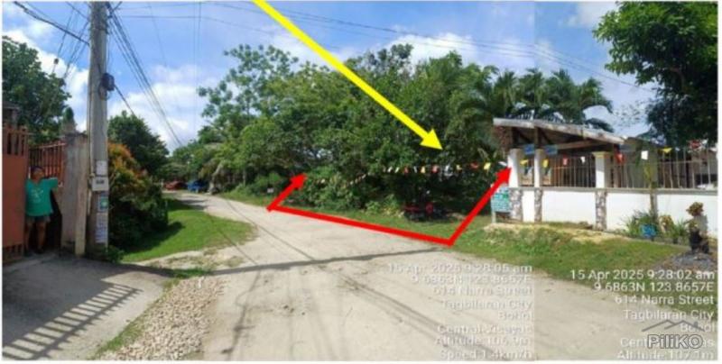Residential Lot for sale in Tagbilaran City - image 2