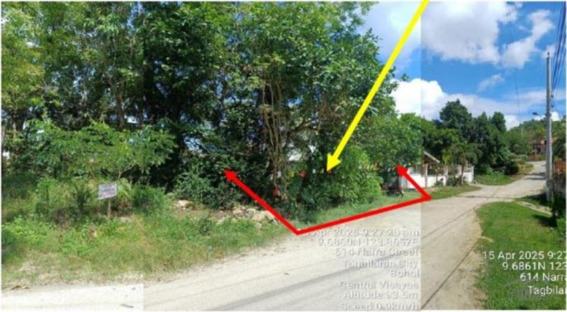 Residential Lot for sale in Tagbilaran City in Bohol