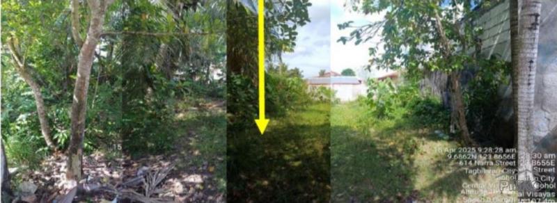 Residential Lot for sale in Tagbilaran City in Philippines