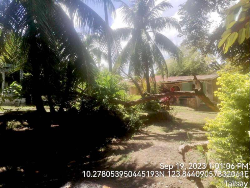 Picture of Residential Lot for sale in Talisay in Cebu