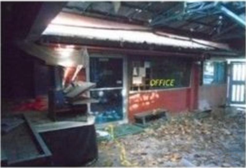 Picture of 4 bedroom House and Lot for sale in Paranaque in Metro Manila